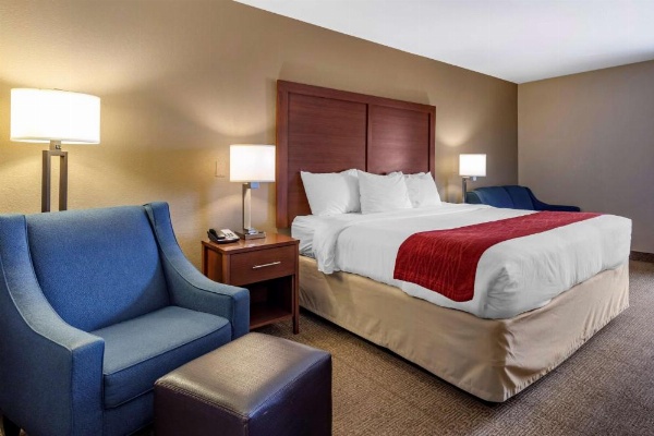 Comfort Inn Biltmore West image 14