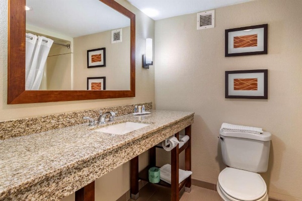 Comfort Inn Biltmore West image 17